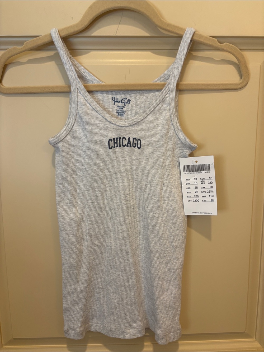 Brandy Melville Gray 'Chicago' Ribbed Tank Top
